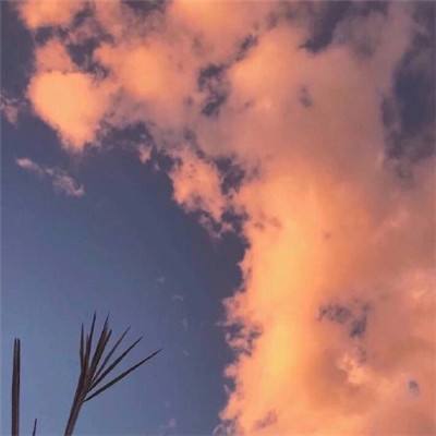 小米浮生若梦手游下载