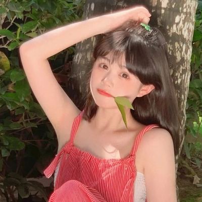 五岳乾坤超v版下载